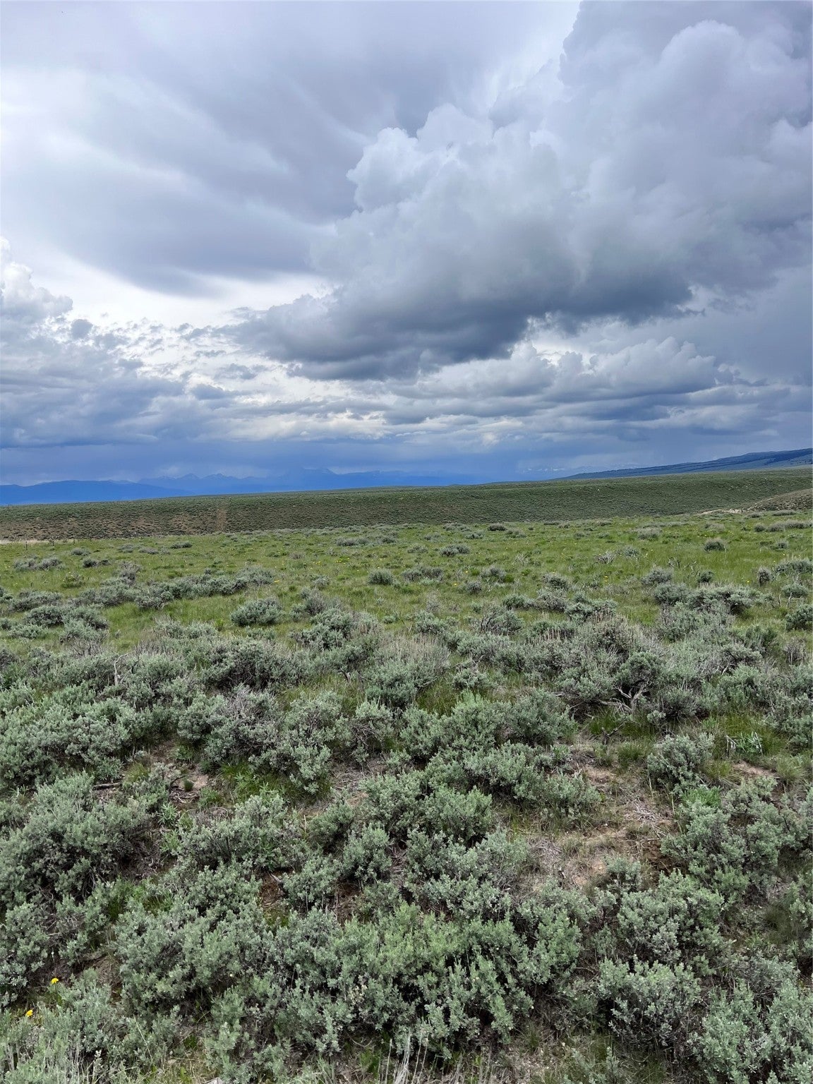 22 Steel Creek Road Wisdom, MT 59761 - Photo 2 of 8 Gallery Image 2