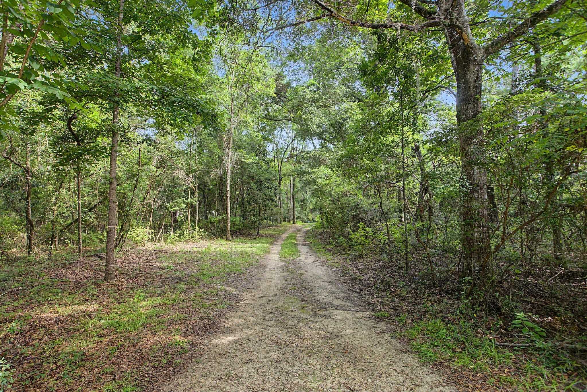 1391 Paul Thompson Road Monticello, FL 32344 - Photo 52 of 52
