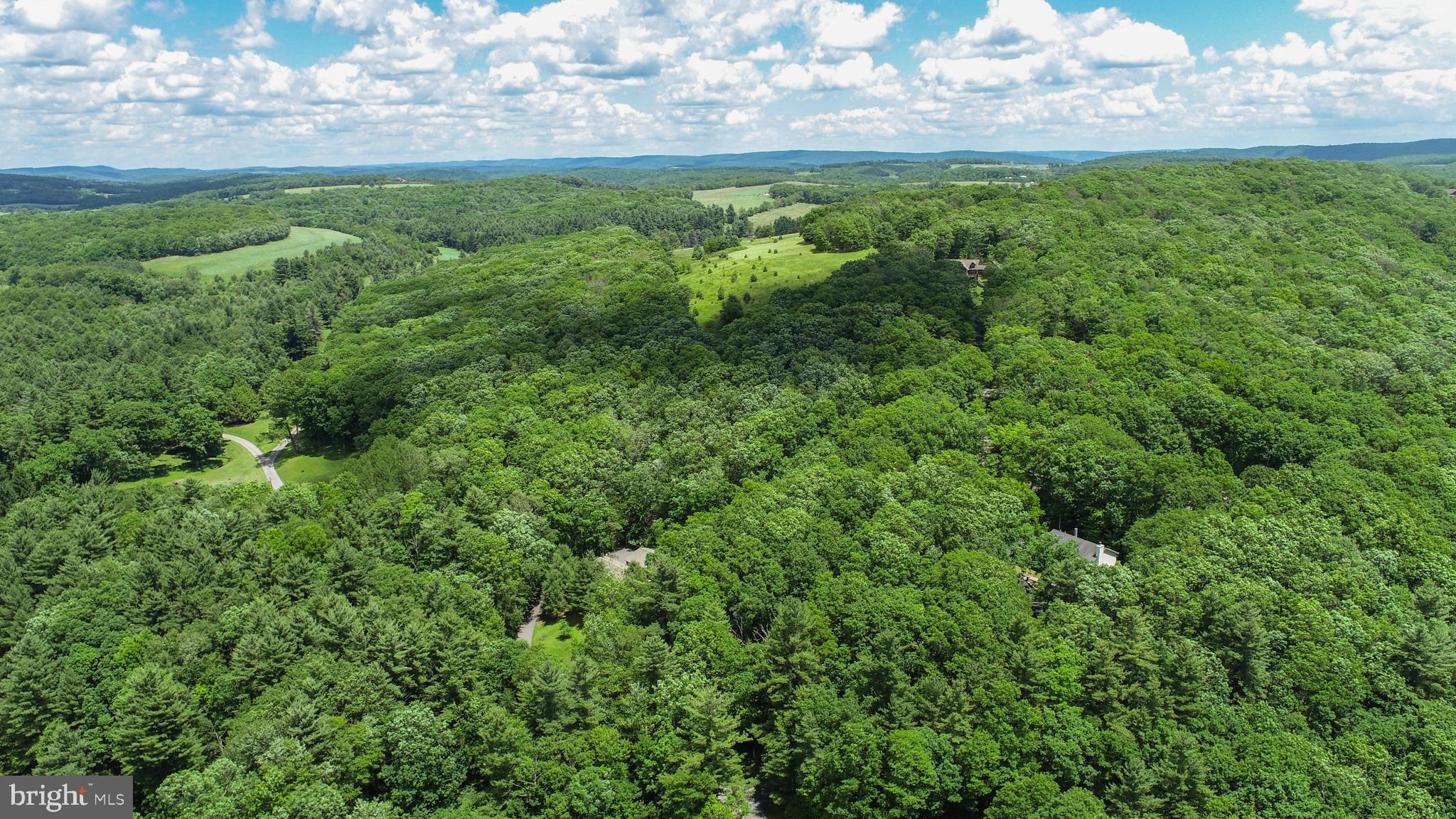 North Glade Road Swanton, MD 21561 - Photo 10 of 16