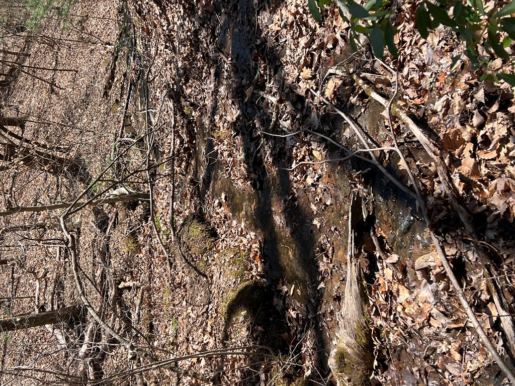 Lots Wolf Mountain Road Murphy, NC 28906 - Photo 24 of 27