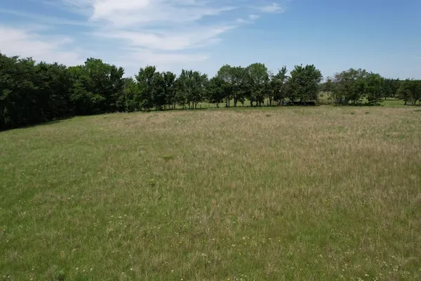 a view of a field with trees in the background