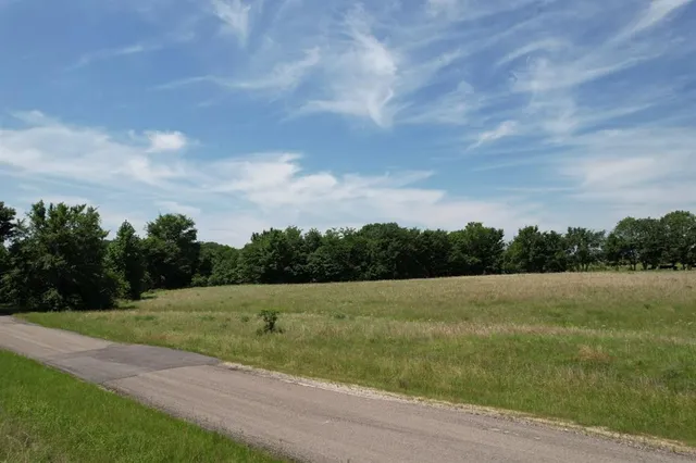a view of field with tall trees in the background