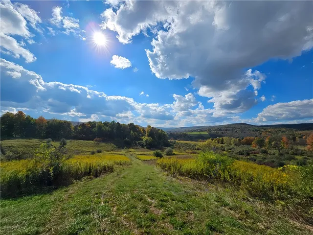 $676,000 | Hills Road, Arkport, NY 14807