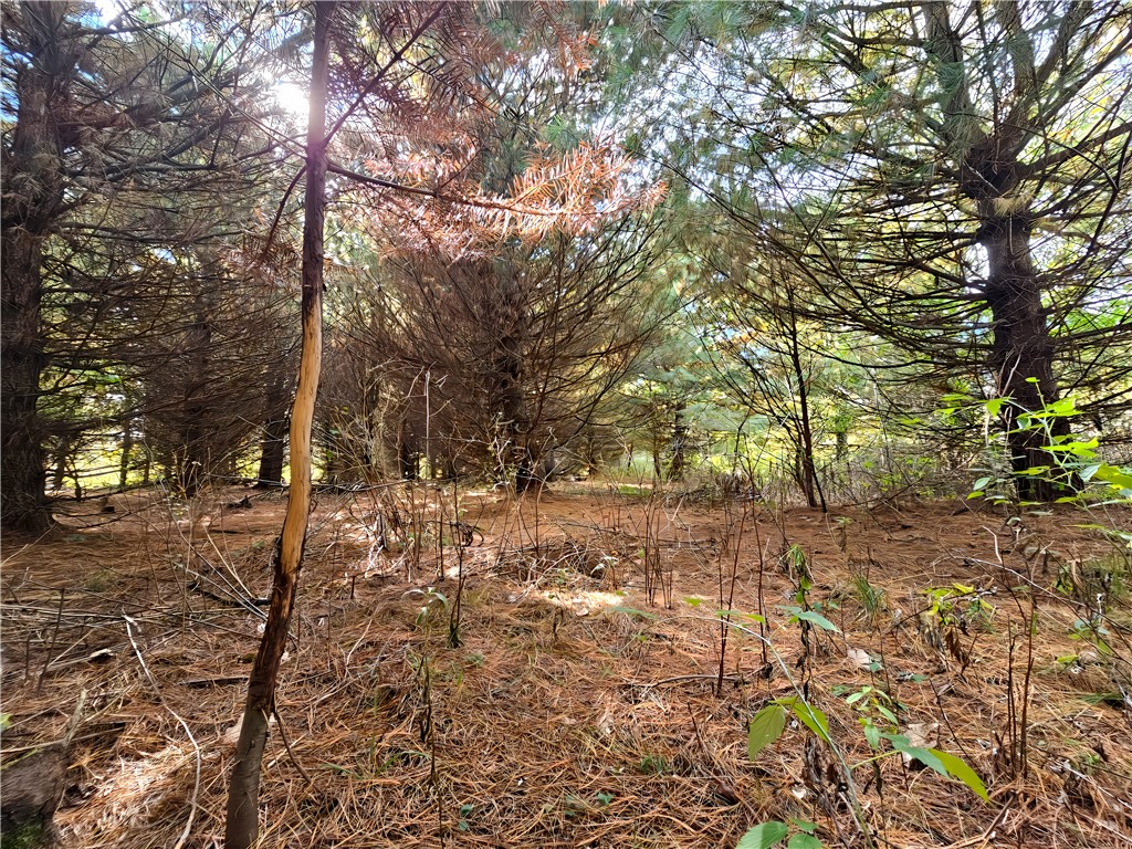 Hills Road Arkport, NY 14807 - Photo 11 of 46