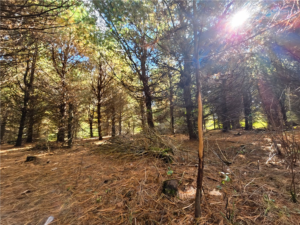 Hills Road Arkport, NY 14807 - Photo 12 of 46