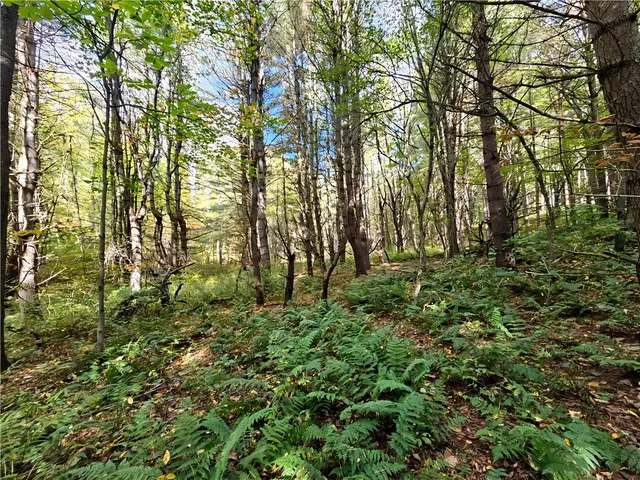 $676,000 | Hills Road, Arkport, NY 14807