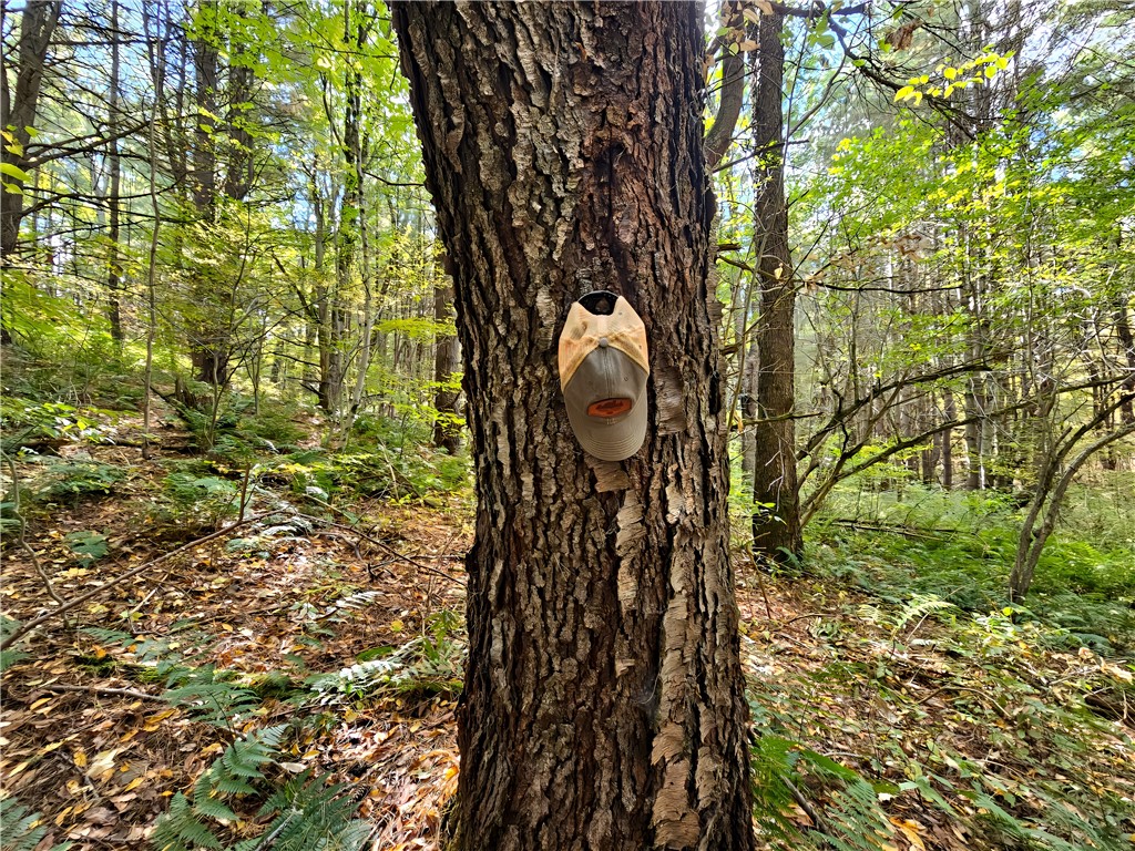 Hills Road Arkport, NY 14807 - Photo 14 of 46