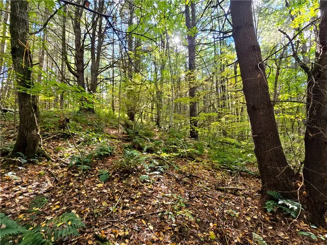 $676,000 | Hills Road, Arkport, NY 14807