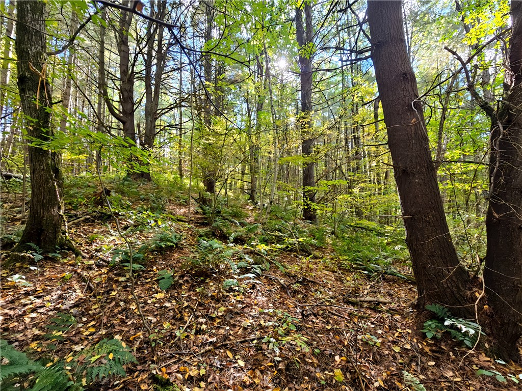 Hills Road Arkport, NY 14807 - Photo 15 of 46