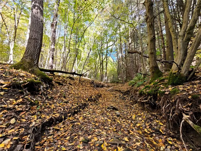 $676,000 | Hills Road, Arkport, NY 14807