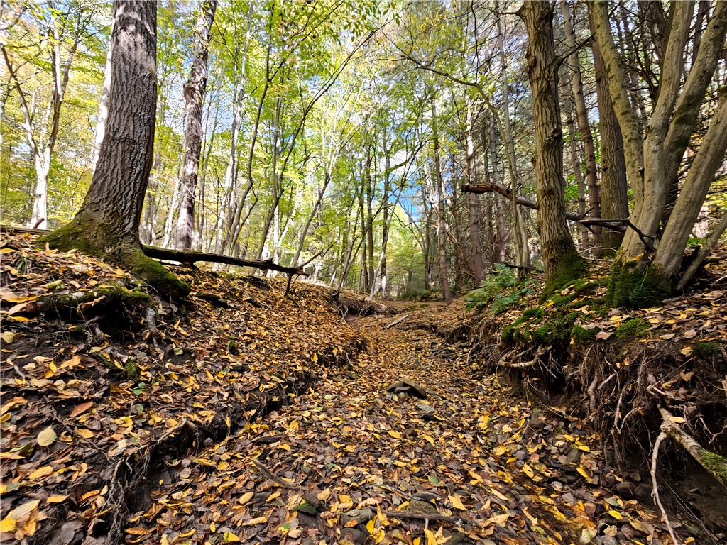 Hills Road Arkport, NY 14807 - Photo 16 of 46