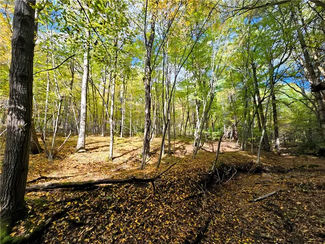 $676,000 | Hills Road, Arkport, NY 14807