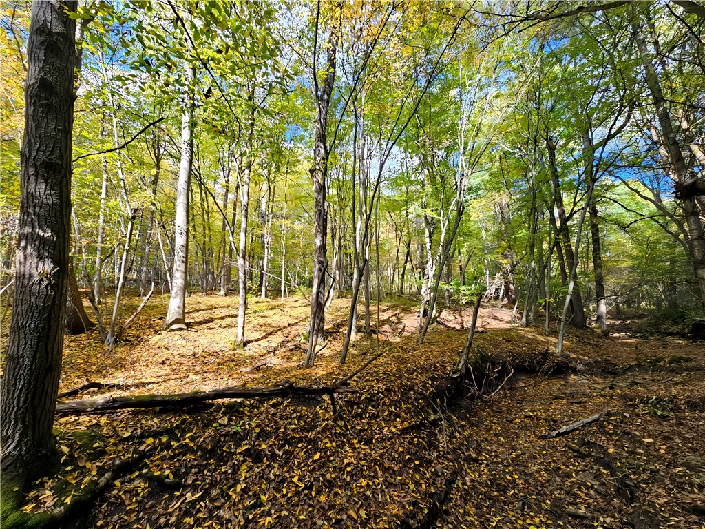 Hills Road Arkport, NY 14807 - Photo 17 of 46