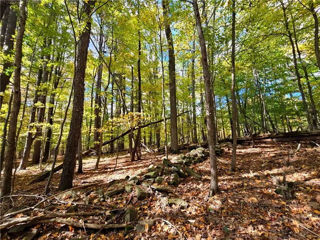 $676,000 | Hills Road, Arkport, NY 14807