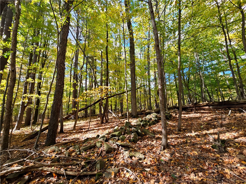 Hills Road Arkport, NY 14807 - Photo 18 of 46