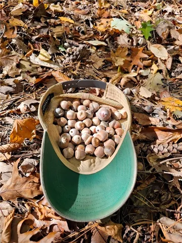 $676,000 | Hills Road, Arkport, NY 14807