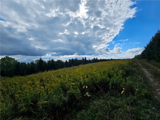 $676,000 | Hills Road, Arkport, NY 14807