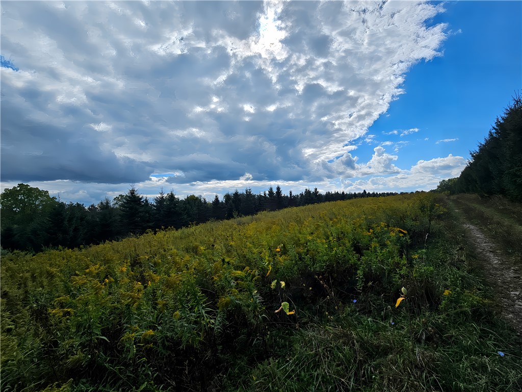 Hills Road Arkport, NY 14807 - Photo 2 of 46