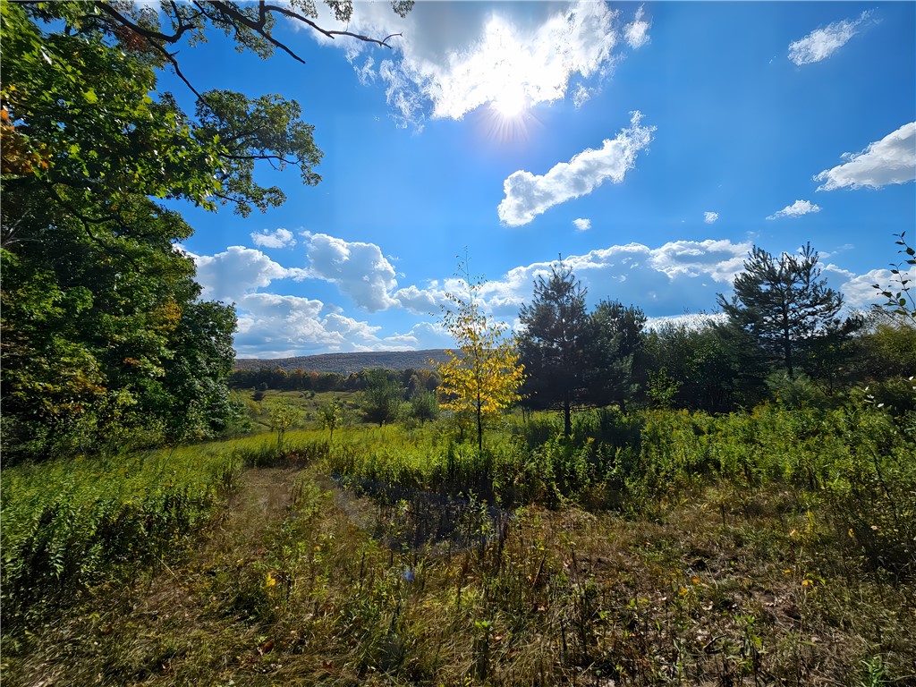 Hills Road Arkport, NY 14807 - Photo 21 of 46