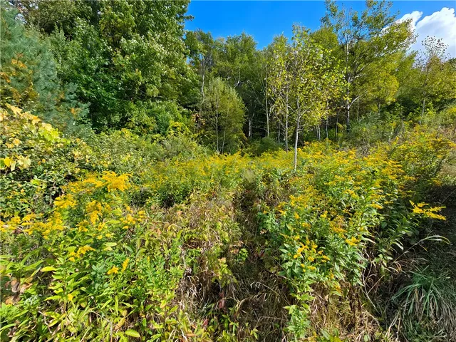 $676,000 | Hills Road, Arkport, NY 14807