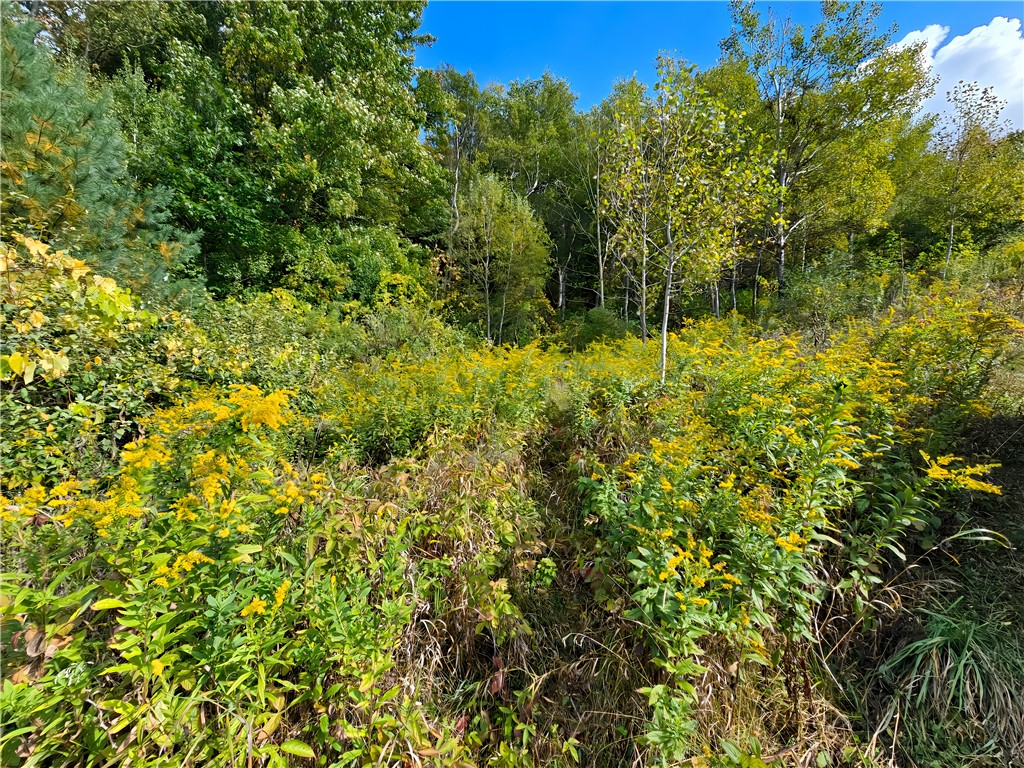 Hills Road Arkport, NY 14807 - Photo 22 of 46