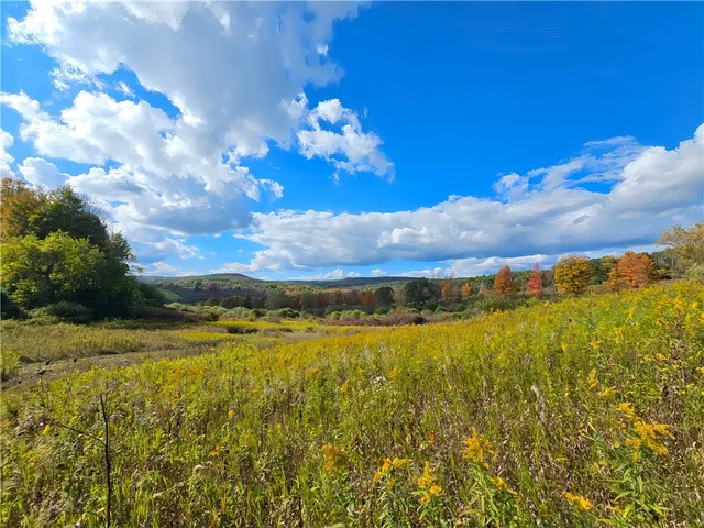 $676,000 | Hills Road, Arkport, NY 14807