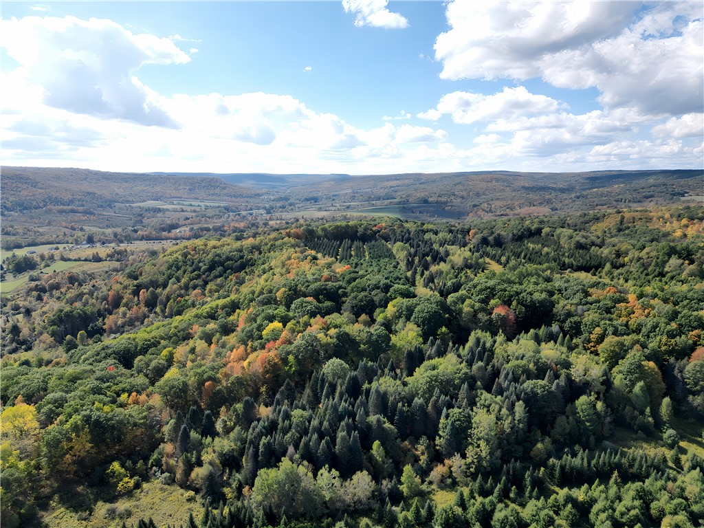 Hills Road Arkport, NY 14807 - Photo 24 of 46