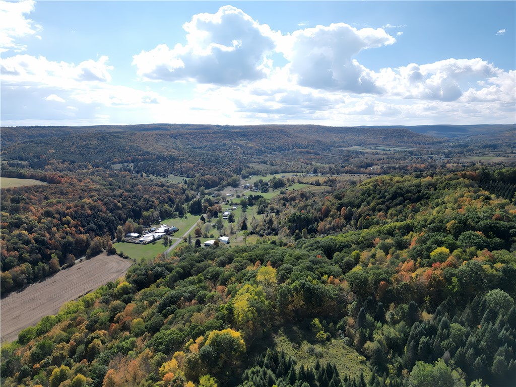 Hills Road Arkport, NY 14807 - Photo 25 of 46