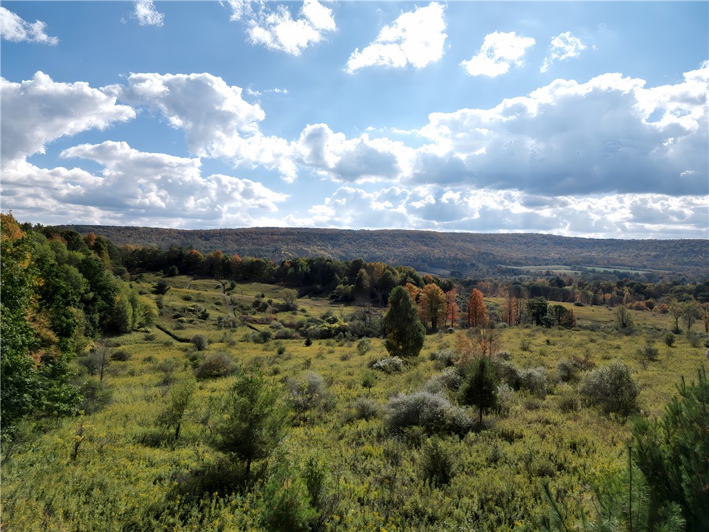 Hills Road Arkport, NY 14807 - Photo 26 of 46