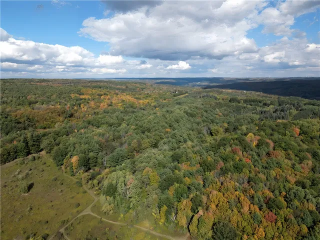 $676,000 | Hills Road, Arkport, NY 14807