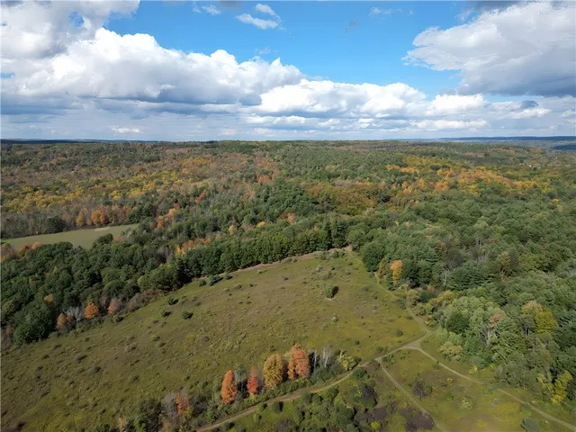 $676,000 | Hills Road, Arkport, NY 14807