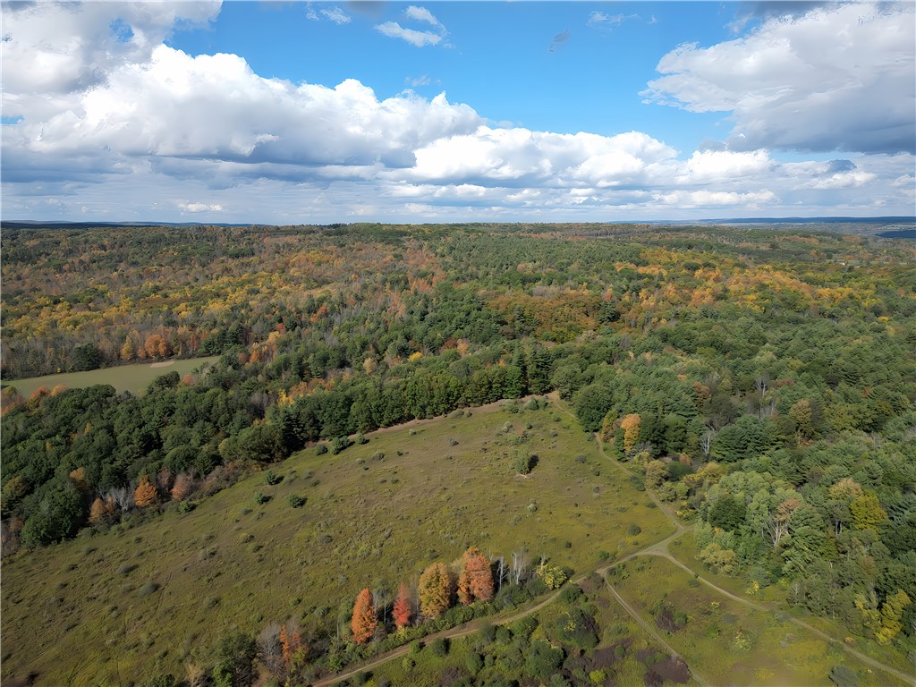 Hills Road Arkport, NY 14807 - Photo 29 of 46