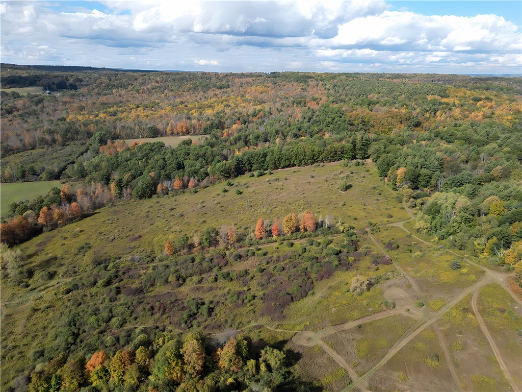 Hills Road Arkport, NY 14807 - Photo 30 of 46