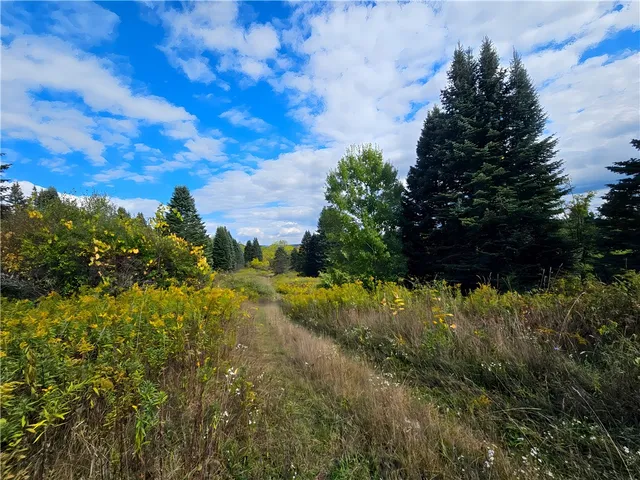 $676,000 | Hills Road, Arkport, NY 14807