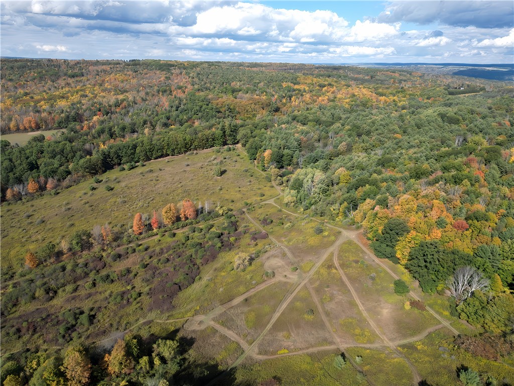 Hills Road Arkport, NY 14807 - Photo 31 of 46