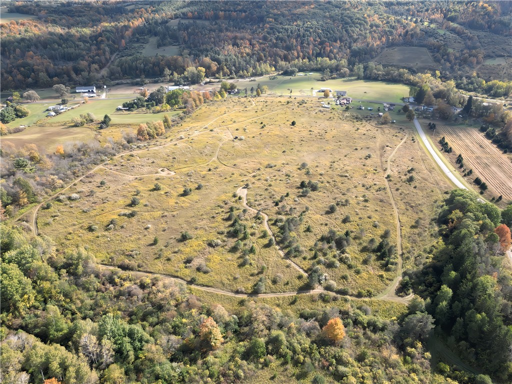 Hills Road Arkport, NY 14807 - Photo 33 of 46