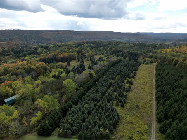 $676,000 | Hills Road, Arkport, NY 14807