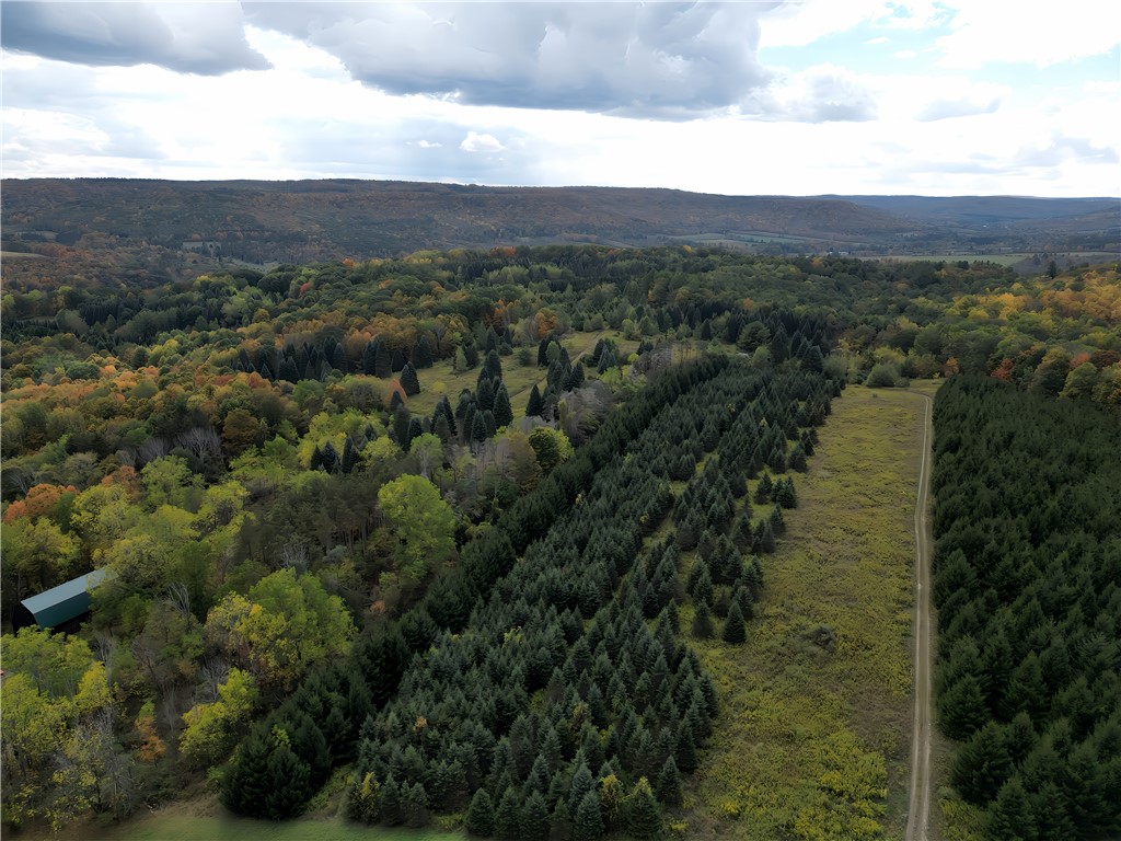 Hills Road Arkport, NY 14807 - Photo 35 of 46