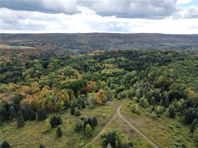 $676,000 | Hills Road, Arkport, NY 14807