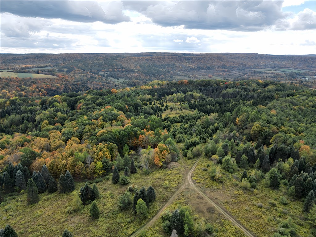 Hills Road Arkport, NY 14807 - Photo 36 of 46