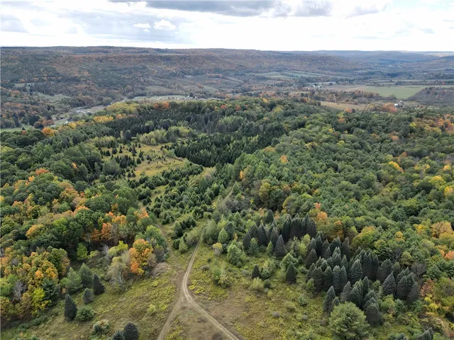 $676,000 | Hills Road, Arkport, NY 14807