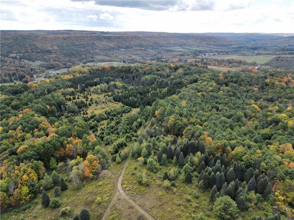 Hills Road Arkport, NY 14807 - Photo 37 of 46