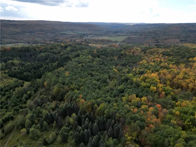 $676,000 | Hills Road, Arkport, NY 14807