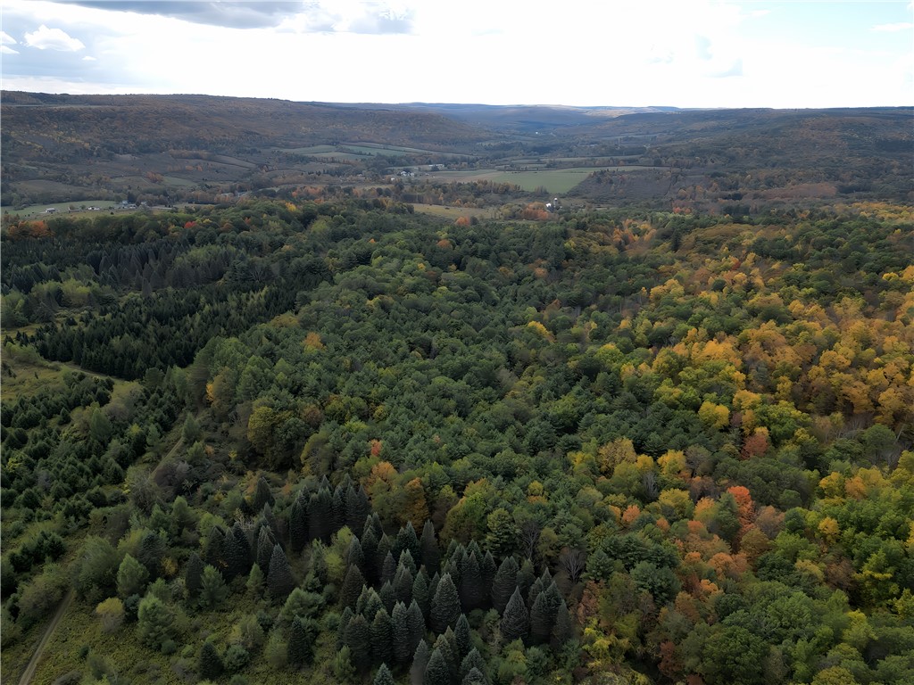 Hills Road Arkport, NY 14807 - Photo 38 of 46