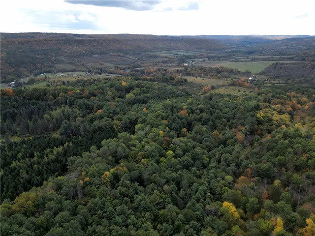 $676,000 | Hills Road, Arkport, NY 14807