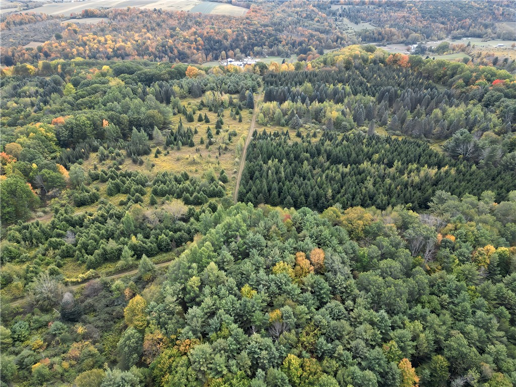 Hills Road Arkport, NY 14807 - Photo 40 of 46