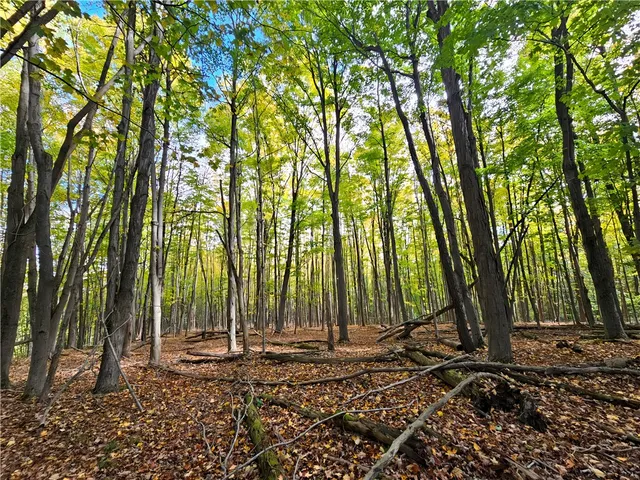 $676,000 | Hills Road, Arkport, NY 14807