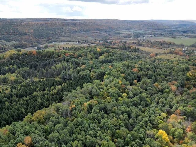 $676,000 | Hills Road, Arkport, NY 14807