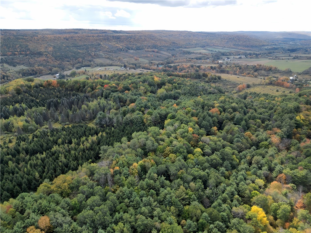 Hills Road Arkport, NY 14807 - Photo 41 of 46