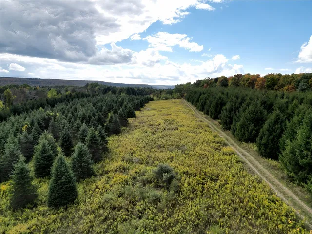 $676,000 | Hills Road, Arkport, NY 14807